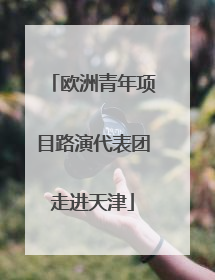 欧洲青年项目路演代表团走进天津