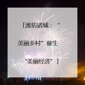 潍坊诸城：“美丽乡村”催生“美丽经济”