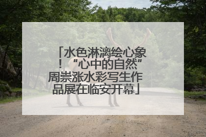水色淋漓绘心象！“心中的自然”周崇涨水彩写生作品展在临安开幕