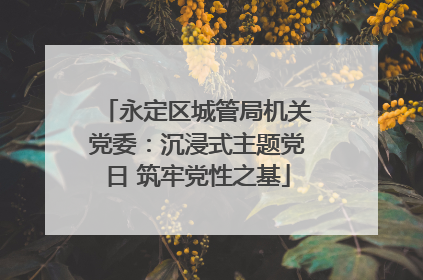 永定区城管局机关党委：沉浸式主题党日 筑牢党性之基