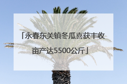 永春东关镇冬瓜喜获丰收 亩产达5500公斤
