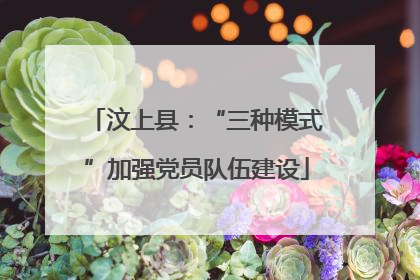 汶上县：“三种模式”加强党员队伍建设