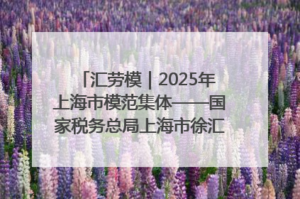 汇劳模｜2025年上海市模范集体——国家税务总局上海市徐汇区税务局第一税务所
