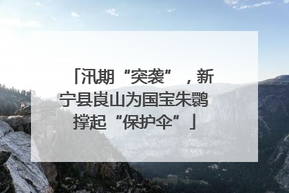 汛期“突袭”，新宁县崀山为国宝朱鹮撑起“保护伞”