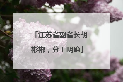 江苏省副省长胡彬郴，分工明确