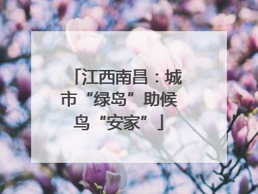 江西南昌：城市“绿岛”助候鸟“安家”