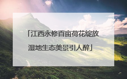 江西永修百亩荷花绽放 湿地生态美景引人醉