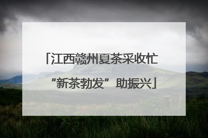 江西赣州夏茶采收忙 “新茶勃发”助振兴