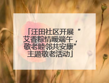 汪田社区开展“艾香粽情暖端午，敬老睦邻共安康”主题敬老活动