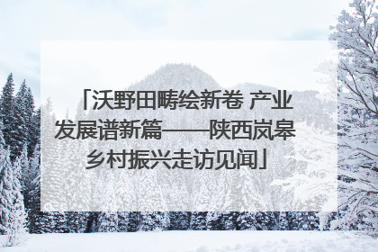 沃野田畴绘新卷 产业发展谱新篇——陕西岚皋乡村振兴走访见闻