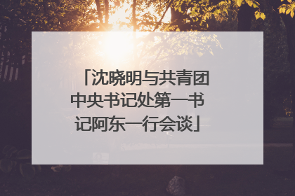 沈晓明与共青团中央书记处第一书记阿东一行会谈