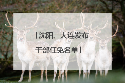 沈阳、大连发布干部任免名单