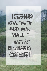 沉浸体验激活消费新想象 京东MALL“一站置家”树立服务价值新坐标