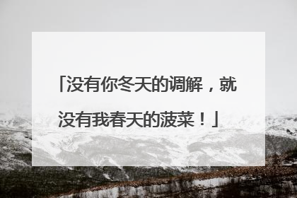 没有你冬天的调解，就没有我春天的菠菜！