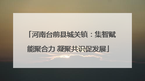 河南台前县城关镇：集智赋能聚合力 凝聚共识促发展