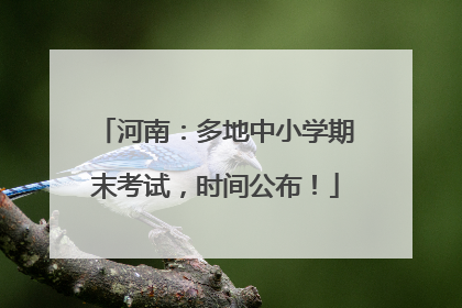 河南：多地中小学期末考试，时间公布！