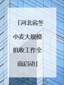 河北省冬小麦大规模机收工作全面启动