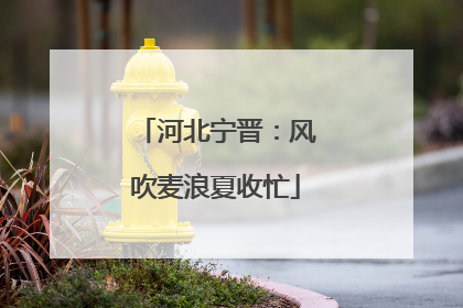 河北宁晋：风吹麦浪夏收忙