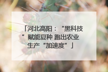 河北高阳：“黑科技”赋能夏种 跑出农业生产“加速度”