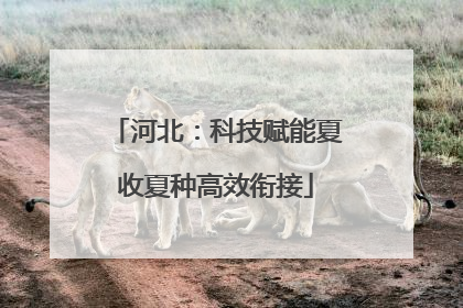 河北：科技赋能夏收夏种高效衔接