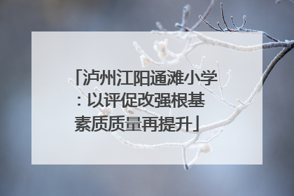 泸州江阳通滩小学：以评促改强根基 素质质量再提升