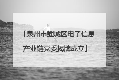 泉州市鲤城区电子信息产业链党委揭牌成立