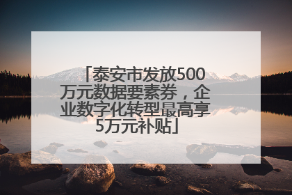 泰安市发放500万元数据要素券，企业数字化转型最高享5万元补贴