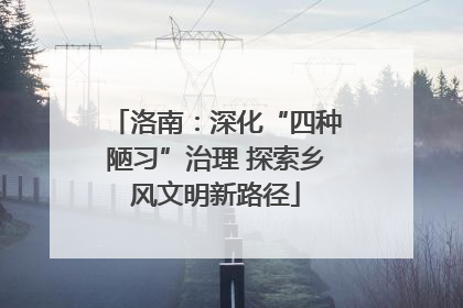 洛南：深化“四种陋习”治理 探索乡风文明新路径