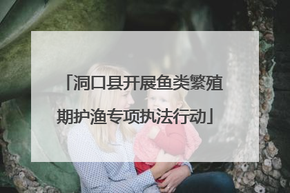 洞口县开展鱼类繁殖期护渔专项执法行动