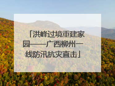 洪峰过境重建家园——广西柳州一线防汛抗灾直击