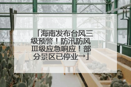 海南发布台风三级预警！防汛防风Ⅲ级应急响应！部分景区已停业→