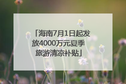 海南7月1日起发放4000万元夏季旅游清凉补贴