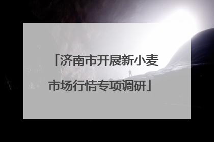 济南市开展新小麦市场行情专项调研