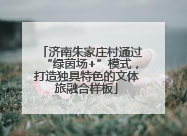 济南朱家庄村通过“绿茵场+”模式，打造独具特色的文体旅融合样板