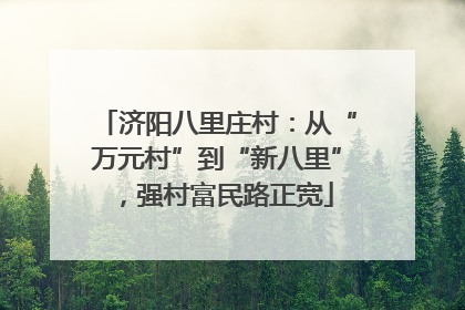 济阳八里庄村：从“万元村”到“新八里”，强村富民路正宽