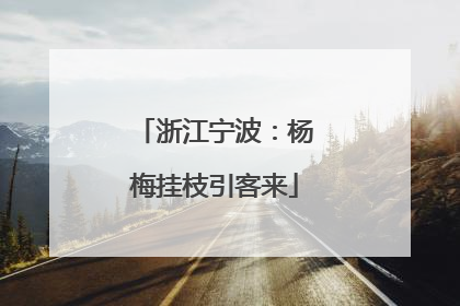 浙江宁波：杨梅挂枝引客来