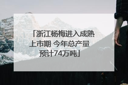浙江杨梅进入成熟上市期 今年总产量预计74万吨