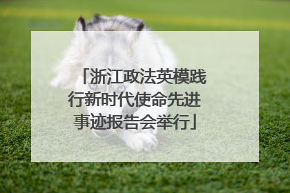 浙江政法英模践行新时代使命先进事迹报告会举行