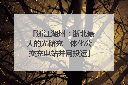 浙江湖州：浙北最大的光储充一体化公交充电站并网投运