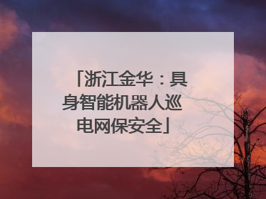 浙江金华：具身智能机器人巡电网保安全