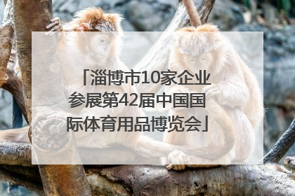 淄博市10家企业参展第42届中国国际体育用品博览会