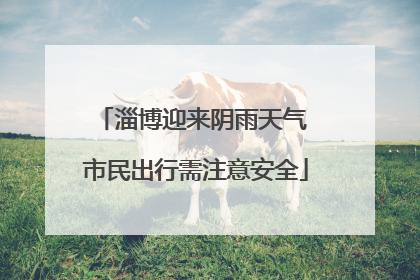淄博迎来阴雨天气 市民出行需注意安全