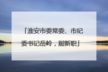 淮安市委常委、市纪委书记岳岭，履新职