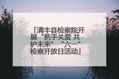 清丰县检察院开展“携手关爱 共护未来”“六一”检察开放日活动