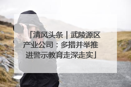 清风头条｜武陵源区产业公司：多措并举推进警示教育走深走实