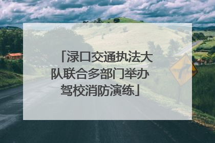 渌口交通执法大队联合多部门举办驾校消防演练