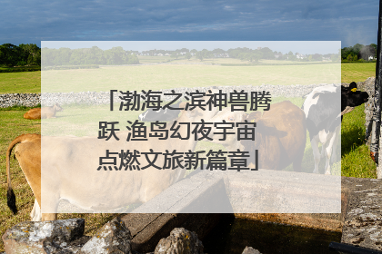 渤海之滨神兽腾跃 渔岛幻夜宇宙点燃文旅新篇章