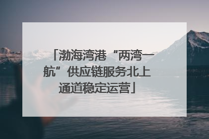 渤海湾港“两湾一航”供应链服务北上通道稳定运营