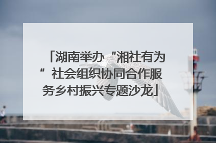 湖南举办“湘社有为”社会组织协同合作服务乡村振兴专题沙龙
