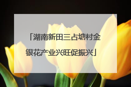湖南新田三占塘村金银花产业兴旺促振兴